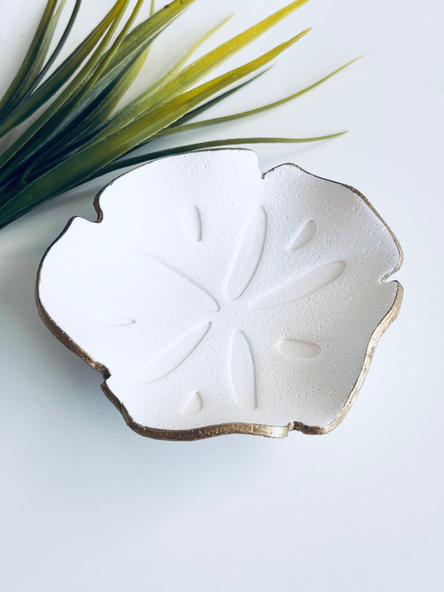 Sand Dollar Trinket Dish